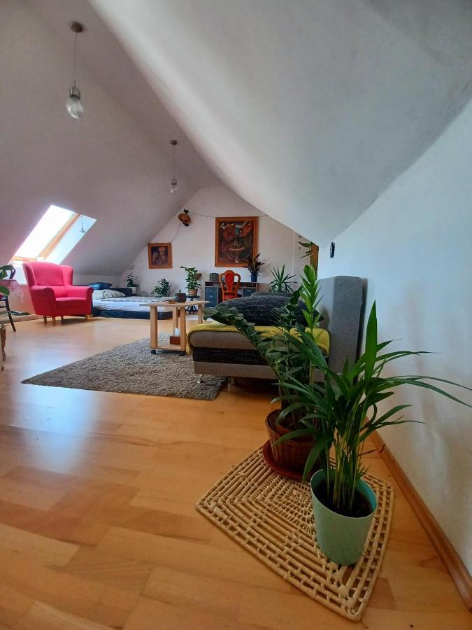 באנסקה ביסטריצה Artist Apartment מראה חיצוני תמונה